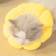 Cute Sunflower Recovery Collar for Cats & Small Dogs – Adjustable Soft E-Collar, Post-Surgery Healing Protective Cone, Comfortable Elizabethan Collar