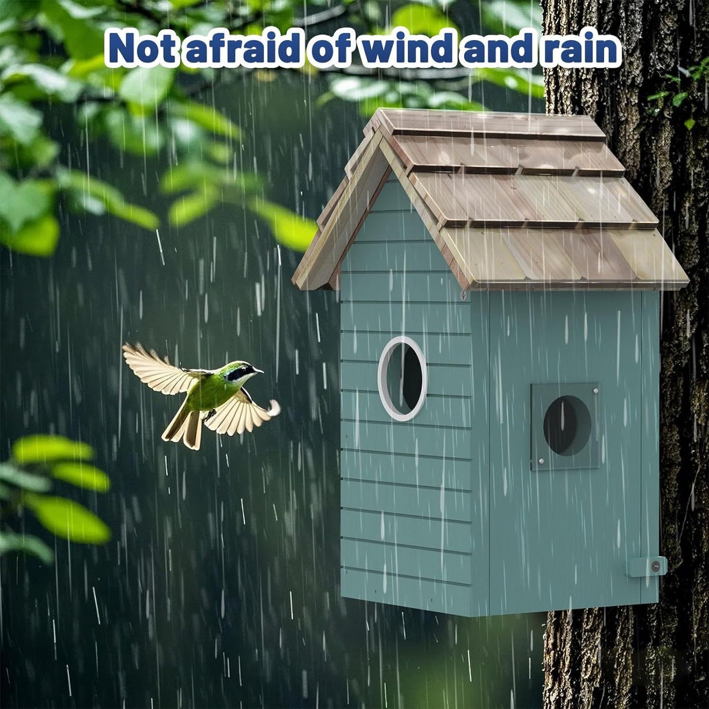 Smart Bird Feeder with Camera – AI Bird Species Recognition, 3MP HD Photos, 2.4G Wi-Fi | Free UK Delivery (3–5 Days)