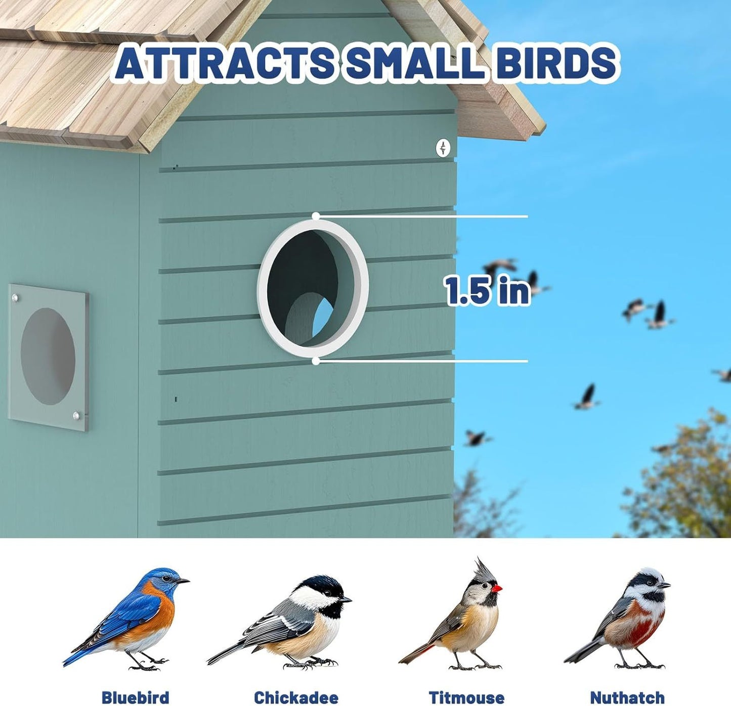 Smart Bird Feeder with Camera – AI Bird Species Recognition, 3MP HD Photos, 2.4G Wi-Fi | Free UK Delivery (3–5 Days)