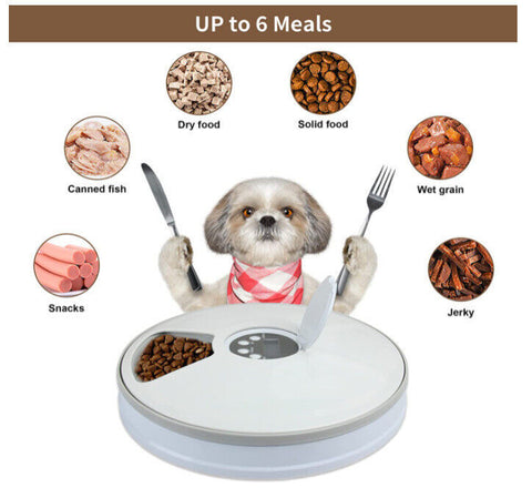 Automatic 6-Meal Pet Feeder – Timed Dispenser for Cats & Dogs