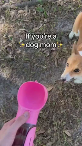 1.mp4